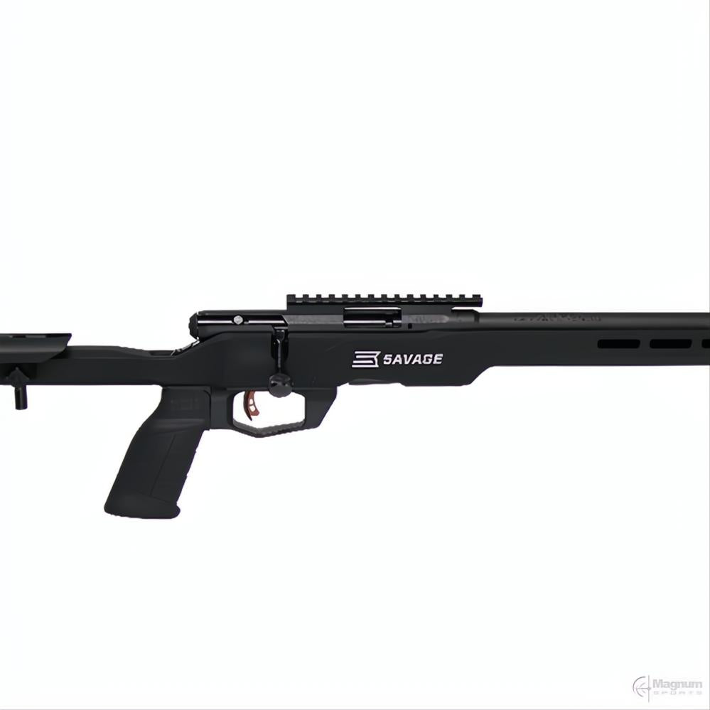 Savage B17 Precision
