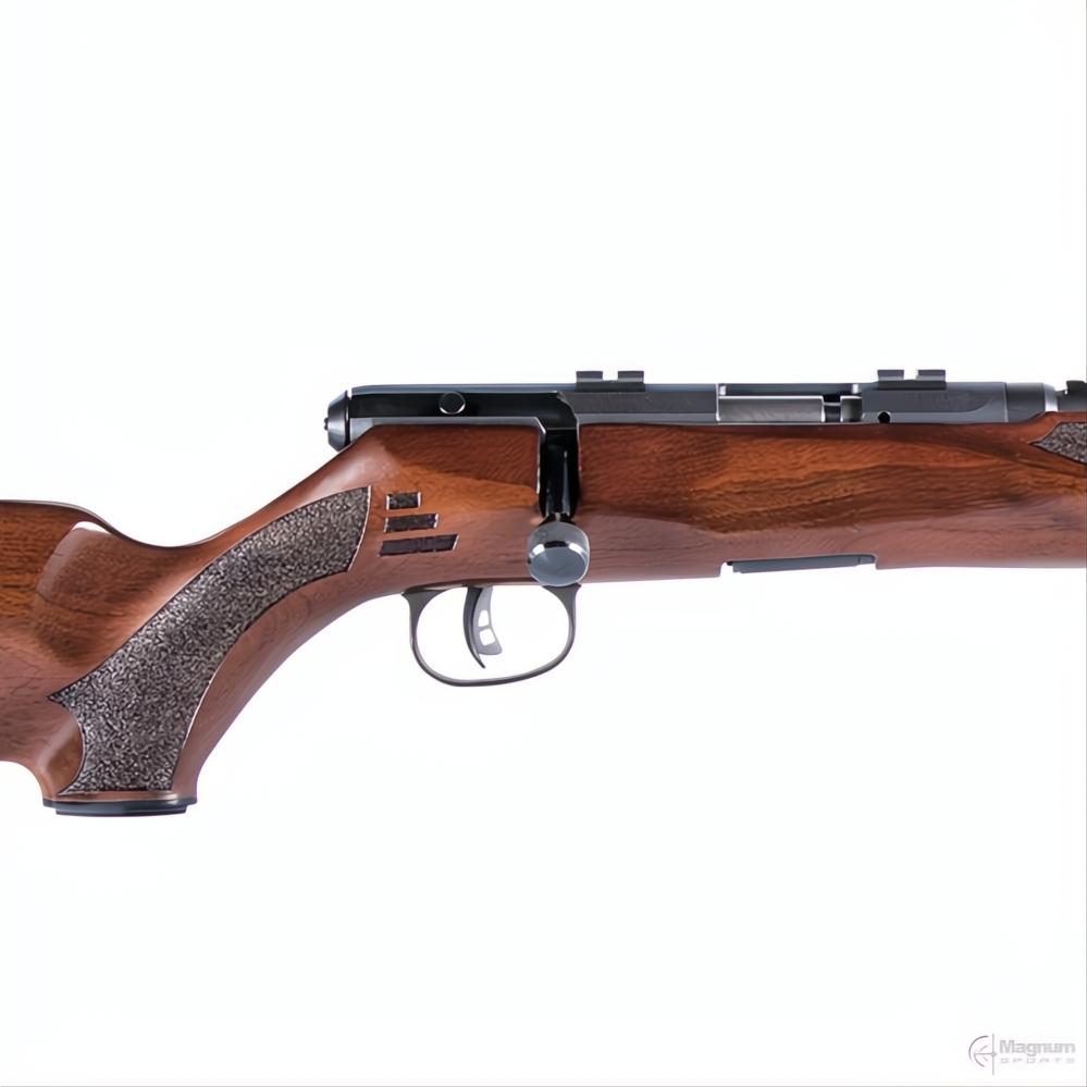 Savage B22 G Blued Wood