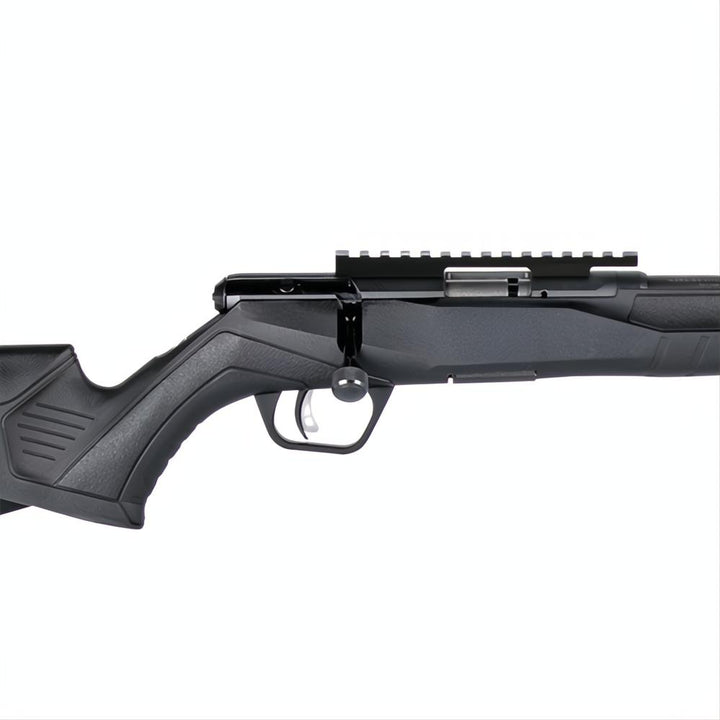 Savage B22 Magnum FV-SR