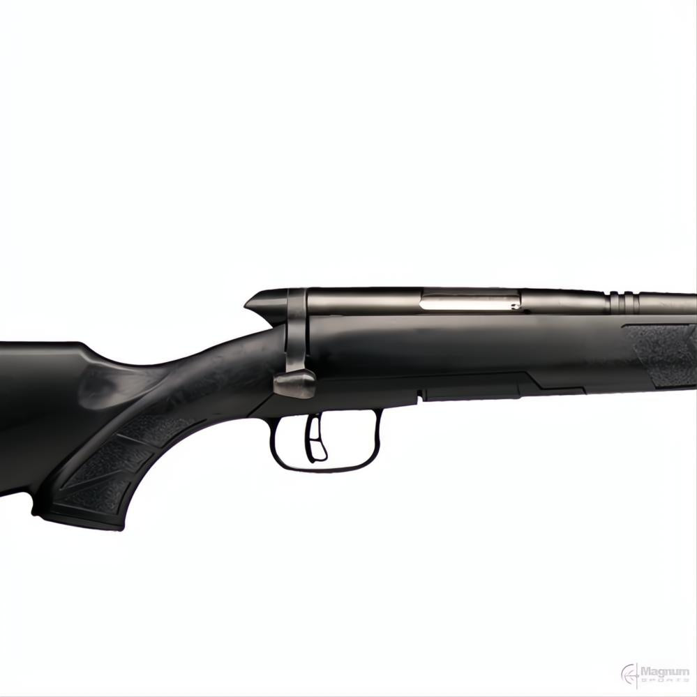 Savage BMAG Varmint