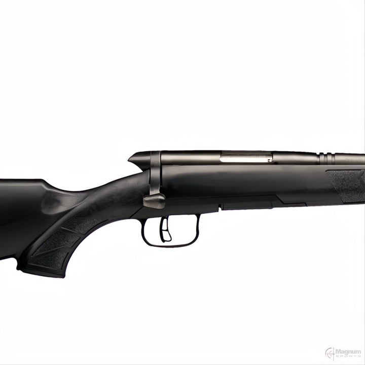 Savage BMAG Varmint