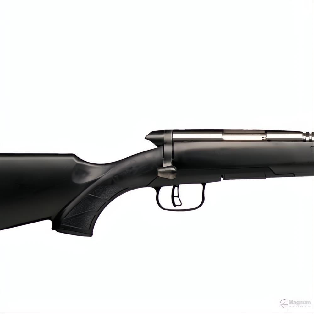 Savage BMAG Varmint Stainless
