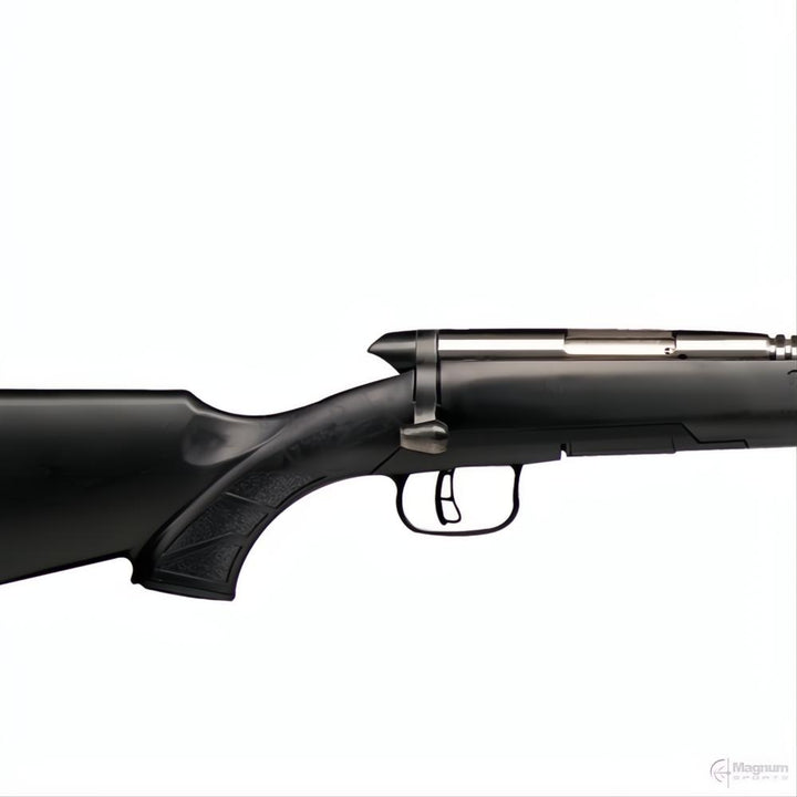 Savage BMAG Varmint Stainless