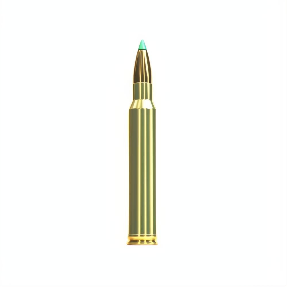 Sellier And Bellot 300 Win Mag 180gr SST