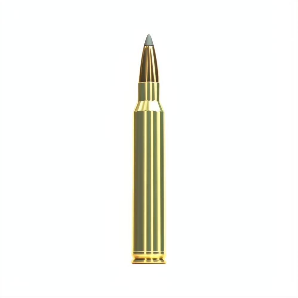 Sellier And Bellot 300 Win Mag 200gr SBT Sierra