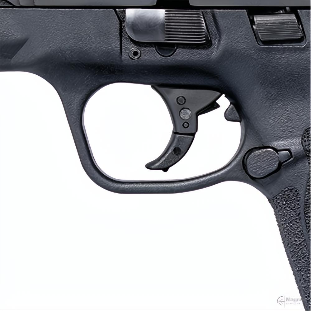 Smith &amp; Wesson M&amp;P9 M2.0 Shield