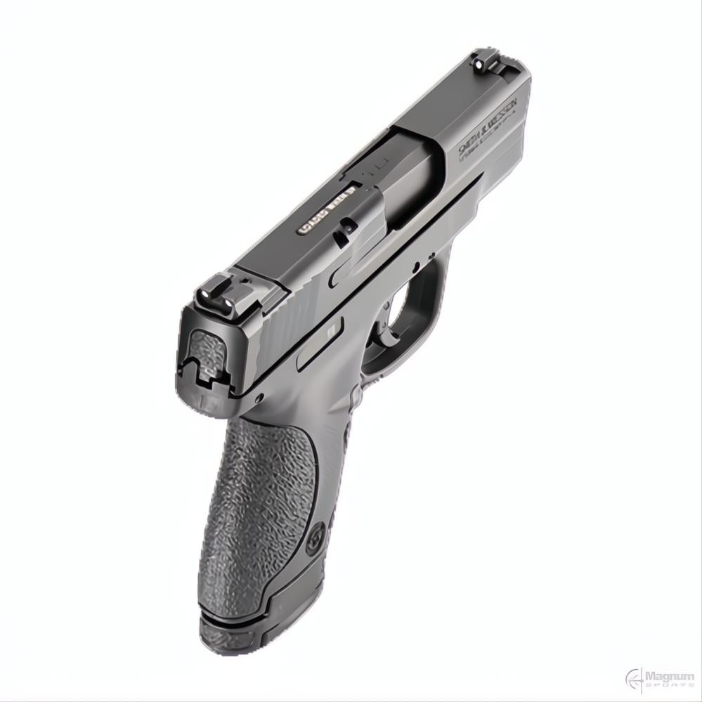 Smith &amp; Wesson M&amp;P9 Shield