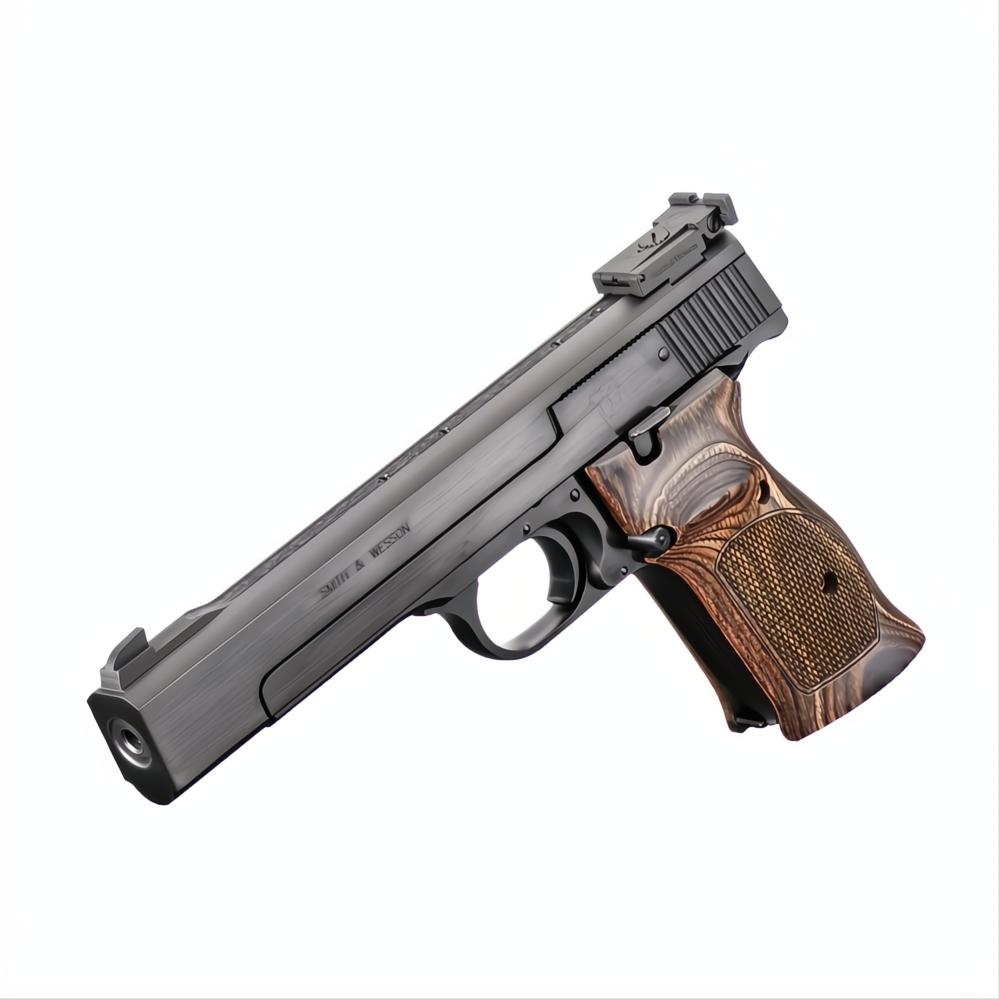 Smith &amp; Wesson Model 41