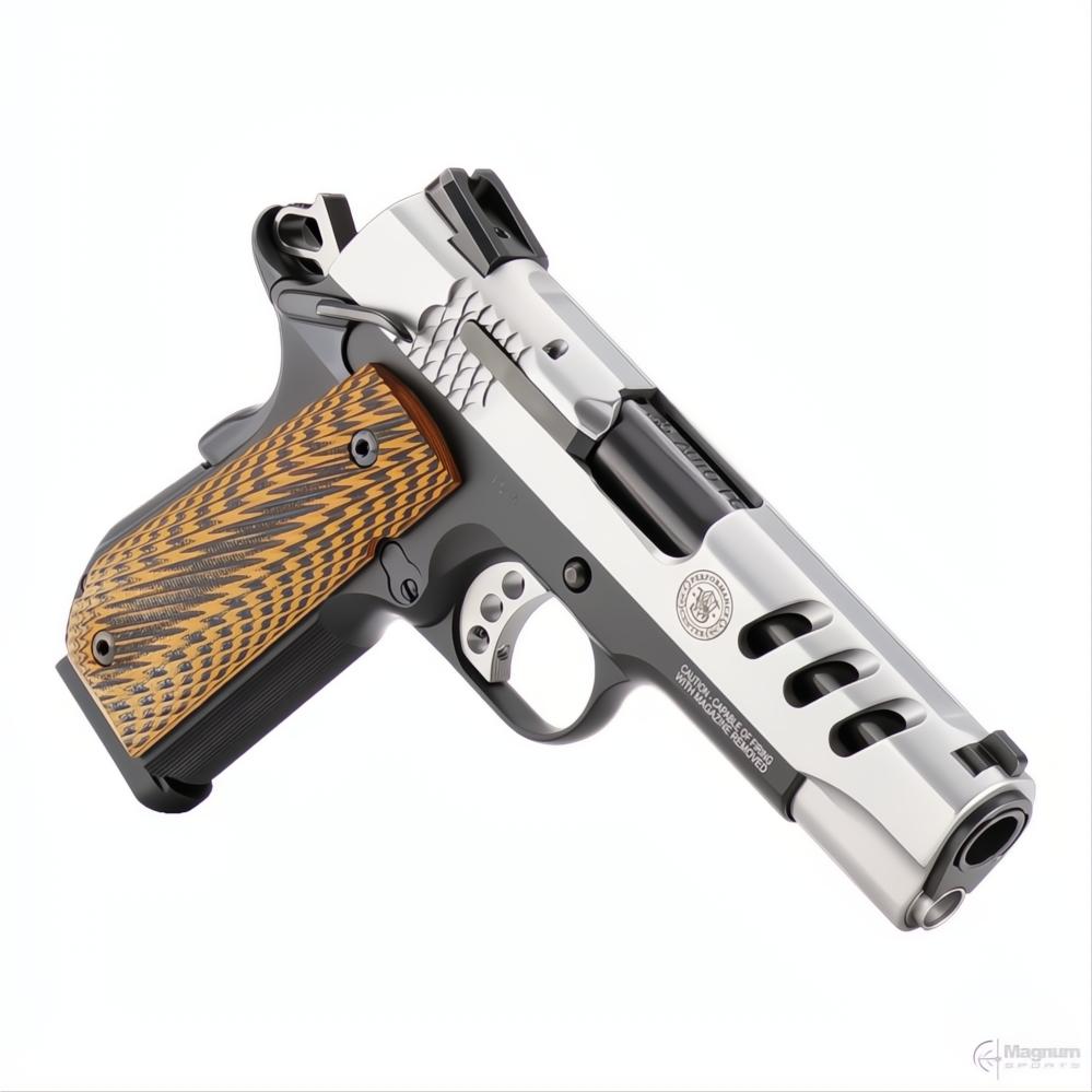 Smith &amp; Wesson SW1911 Performance Center