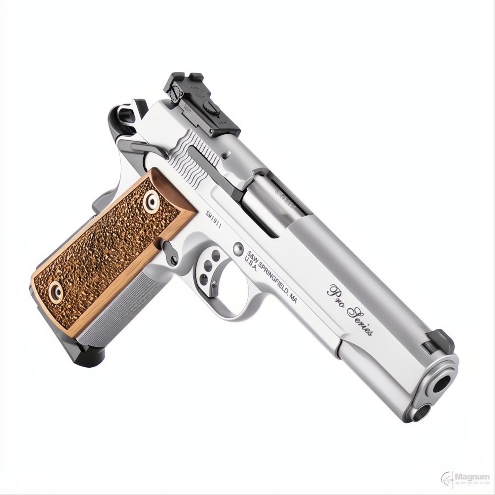Smith &amp; Wesson SW1911 Pro Performance Center