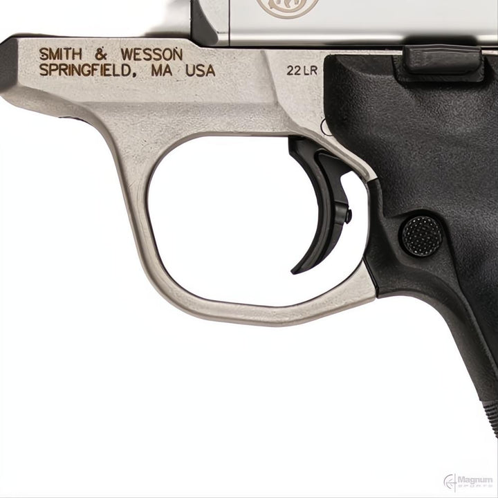 Smith &amp; Wesson SW22 Victory