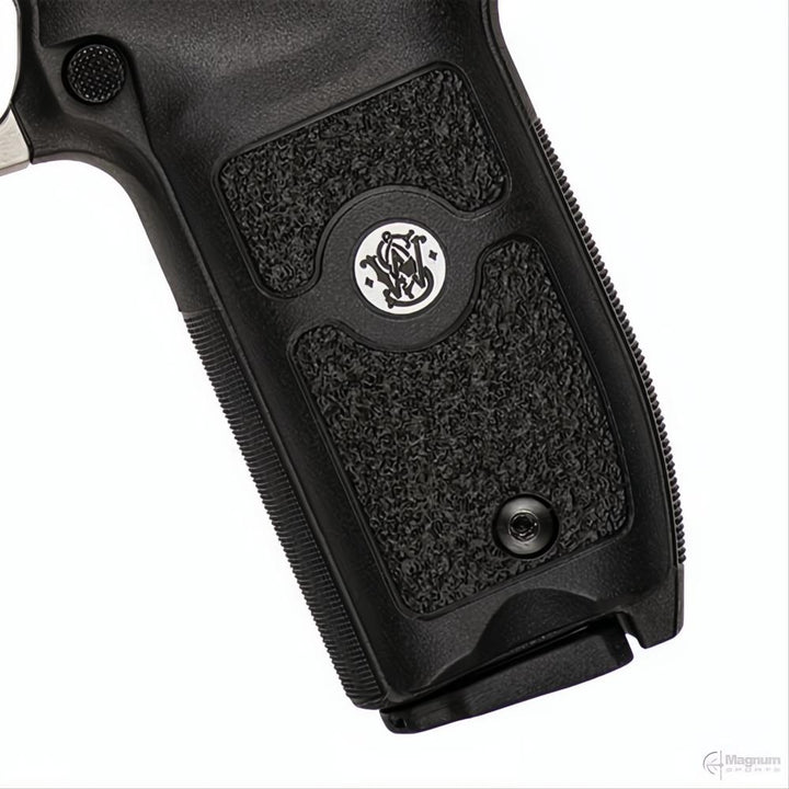 Smith &amp; Wesson SW22 Victory