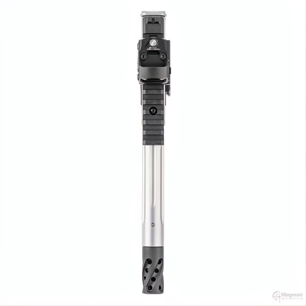 Smith & Wesson SW22 Victory Performance Center