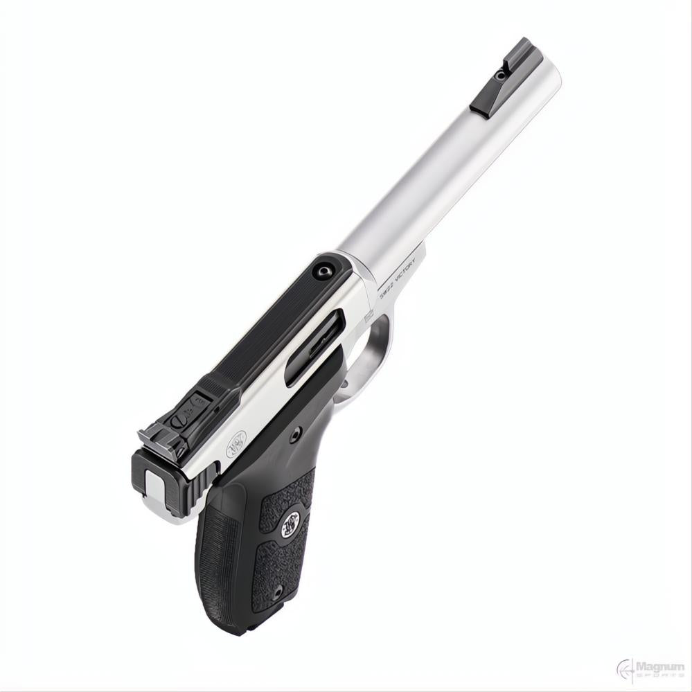 Smith &amp; Wesson SW22 Victory Target