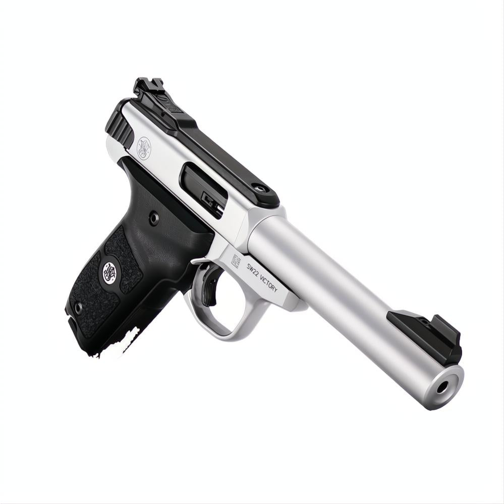 Smith &amp; Wesson SW22 Victory Target