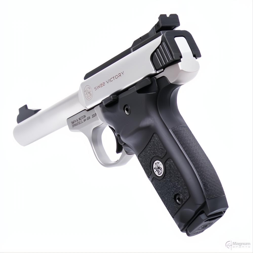 Smith &amp; Wesson SW22 Victory Target