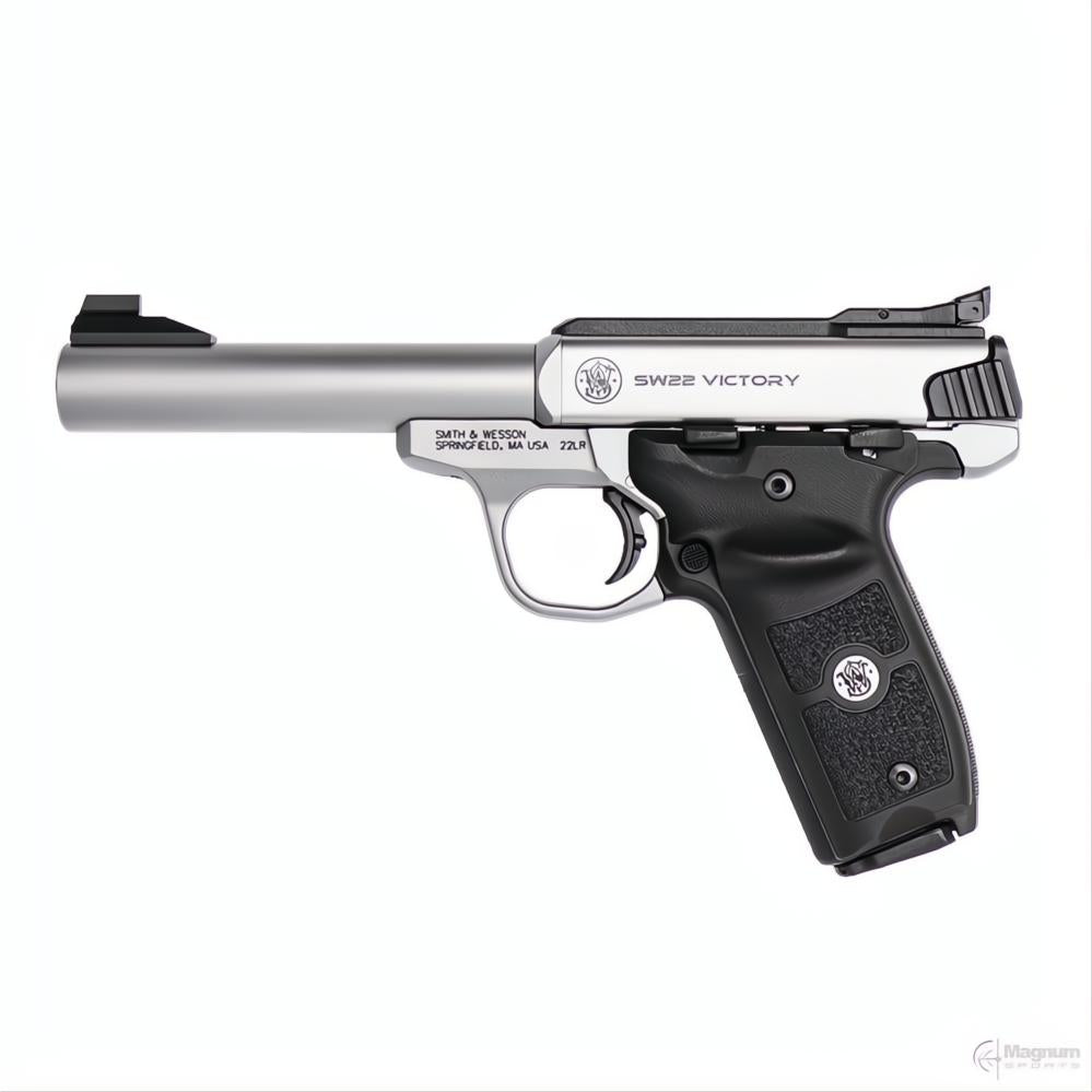 Smith & Wesson SW22 Victory Target
