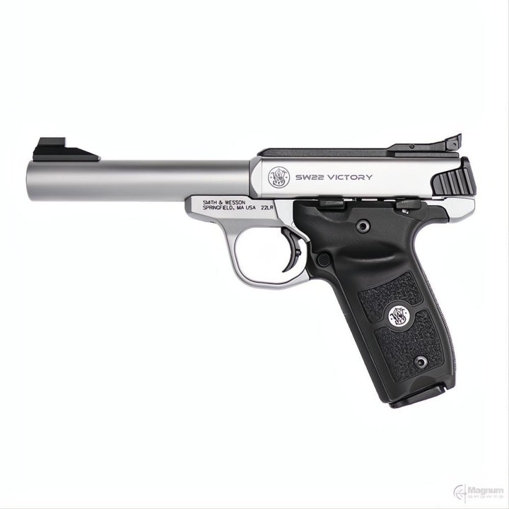 Smith &amp; Wesson SW22 Victory Target
