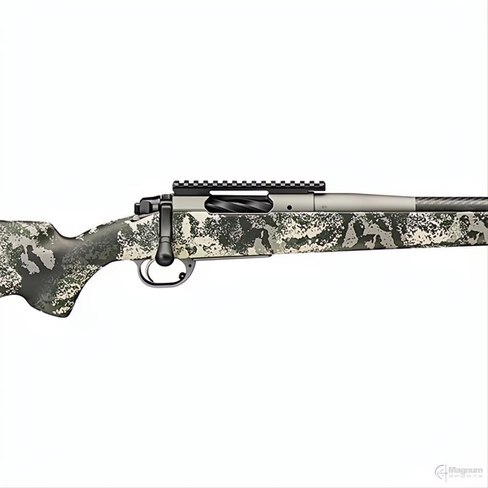 Springfield 2020 Boundary Carbon