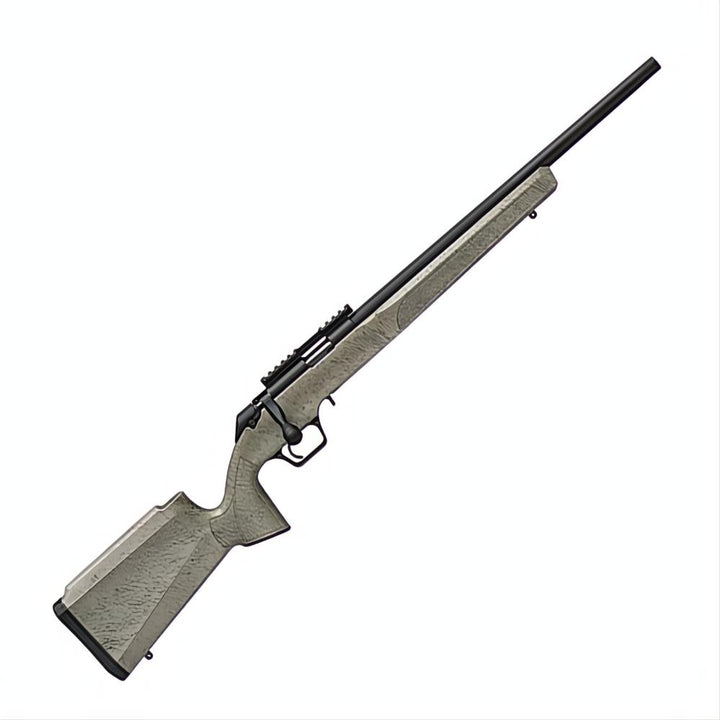 Springfield 2020 Rimfire Target Sage Web