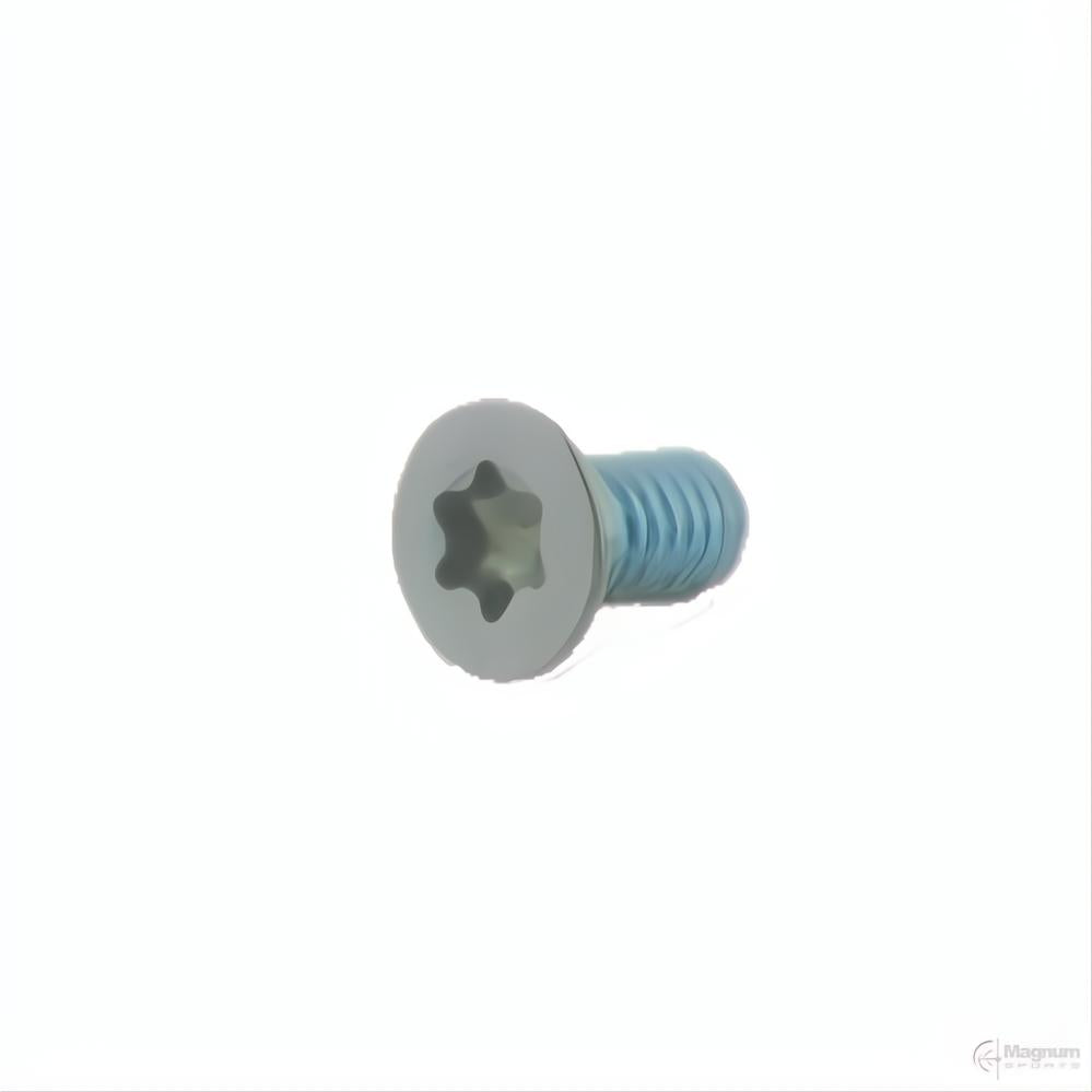 Spuhr M3x6 TX10 Aimpoint Screws