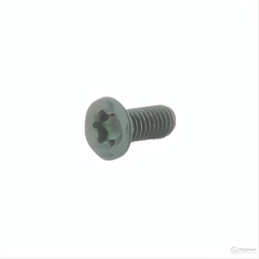 Spuhr M4x10 TX20 Accessory Screws (6 pack)