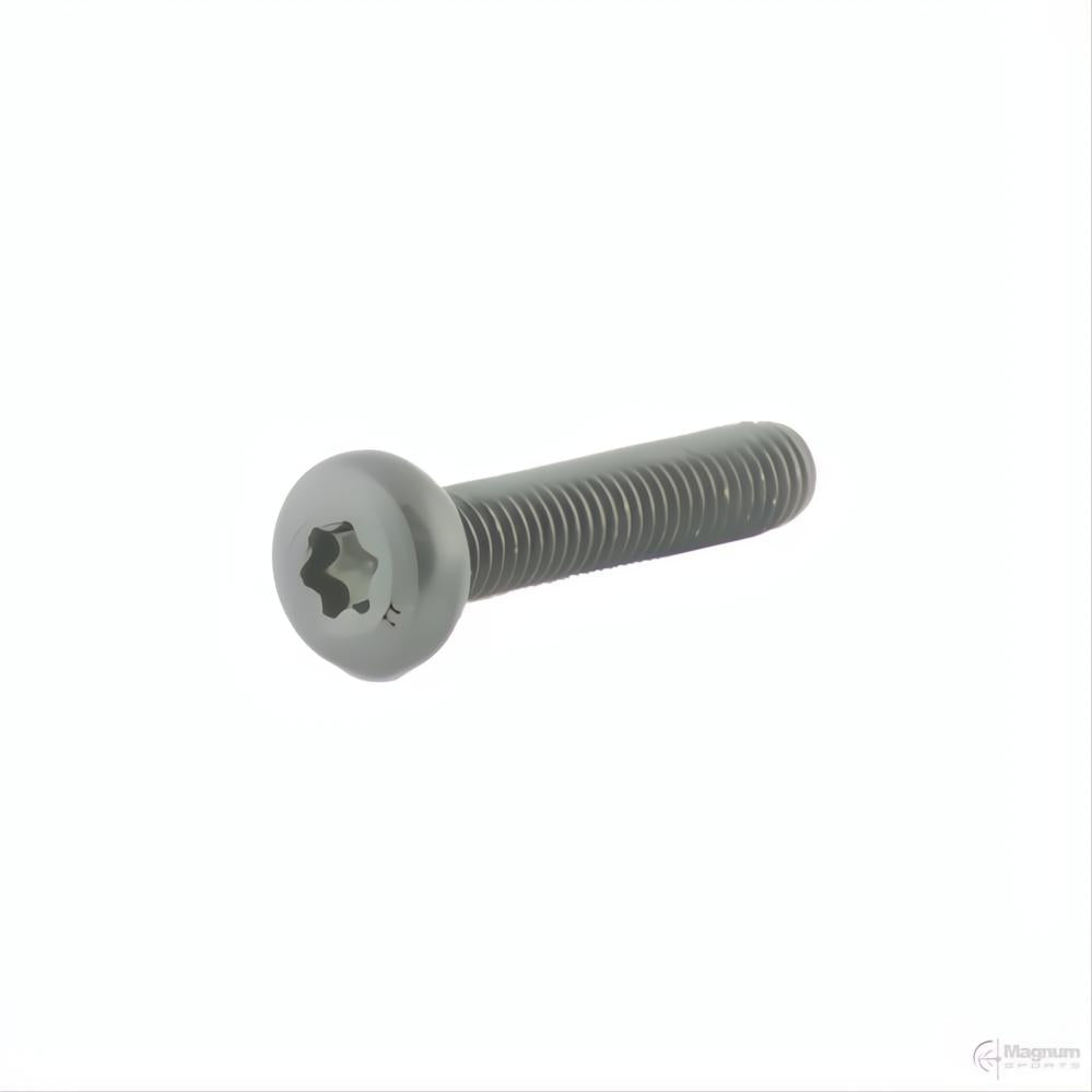 Spuhr M5x25 TX20 Clamping Screws (4 Pack of screws)
