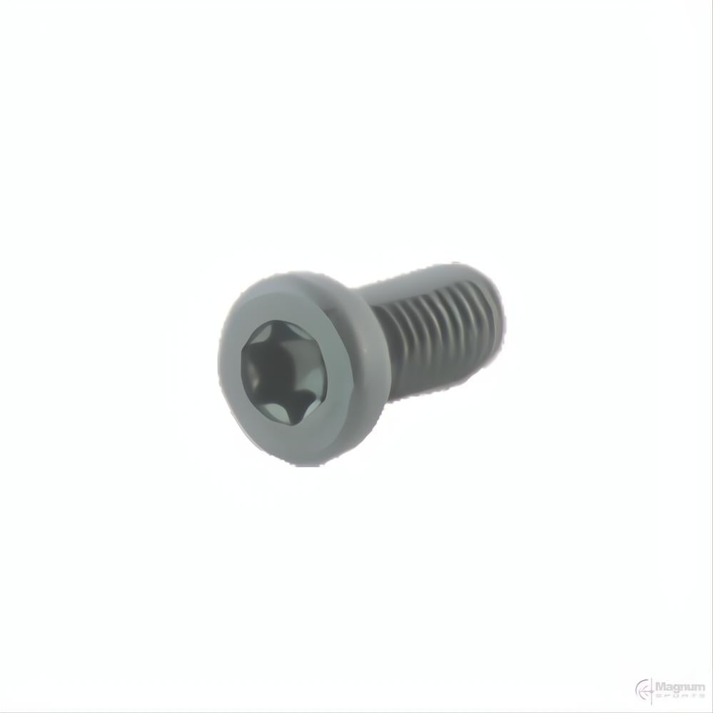 Spuhr Sauer Recoil Screw (Pack of 2 Screws)