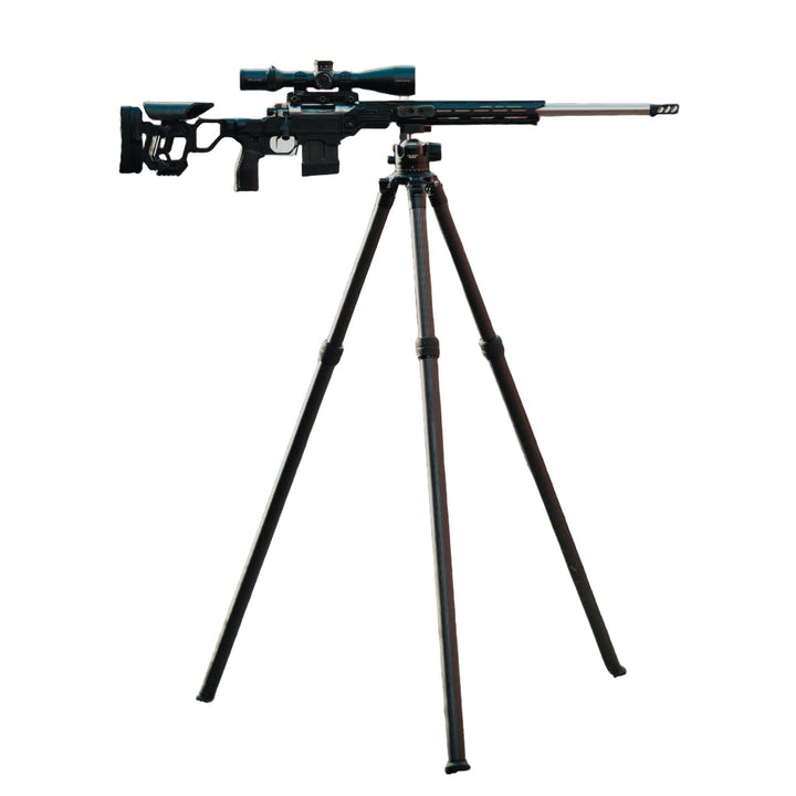 Telson Tripod and Ballhead Combo in use