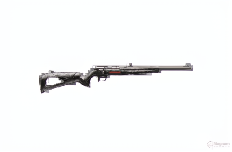 WINCHESTER XPERT