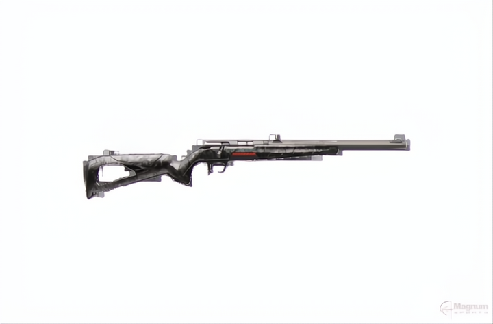 WINCHESTER XPERT