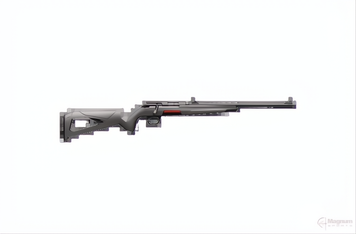 WINCHESTER XPERT