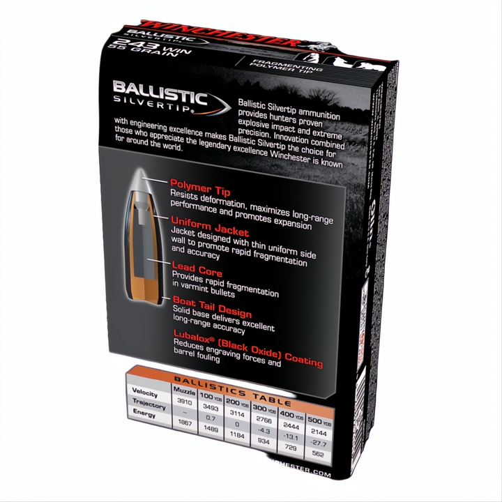 Winchester Ballistic ST 243Win 55gr PT