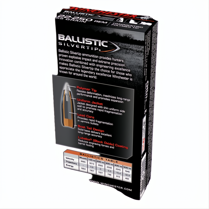 Winchester Ballistic St 22-250Rem 55gr PT