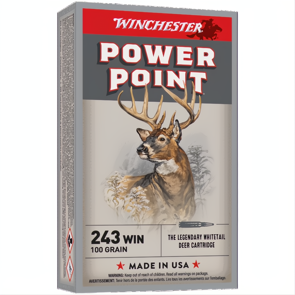 Winchester Power Point 243Win 100gr PSP