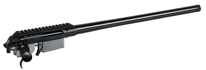 Anschutz 1771D 223 Rem 170 Anniversary Rifle