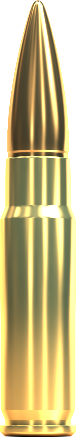 Sellier &amp; Bellot 300 AAC Blackout 200 grain FMJ Subsonic Ammo 20 rd